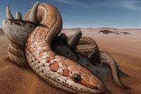 Les serpents ont eu des pattes arrière pendant 70 millions d'années