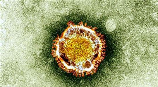 Coronavirus : la période d'incubation moyenne se précise autour de cinq jours