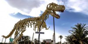 Les T-Rex nains n'ont sans doute pas existé, conclut une étude