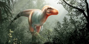 Un lointain cousin du T-Rex découvert au Canada