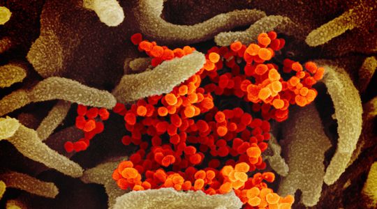Coronavirus : les essais cliniques prêts à démarrer en France