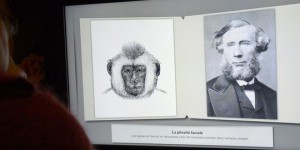 Pascal Picq : 'Dépasser Darwin', l'étrange évolution du professeur Raoult