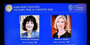 Le Nobel de chimie remis à deux généticiennes, dont la Française Emmanuelle Charpentier