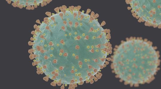 Tania Louis, virologue : Pourquoi l'homme a besoin des virus