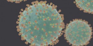 Covid-19 : ce que l'on sait sur la mutation du virus au Royaume-Uni