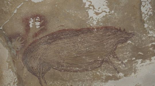 La plus ancienne peinture rupestre découverte daterait d'au moins 45 500 ans