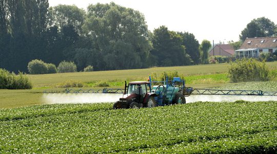 Cancer, Parkinson, troubles neurologiques... Un lien 'fort' établi entre pesticides et six maladies