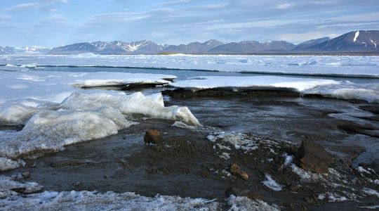 Au Groenland, des scientifiques découvrent la terre la plus au nord du monde