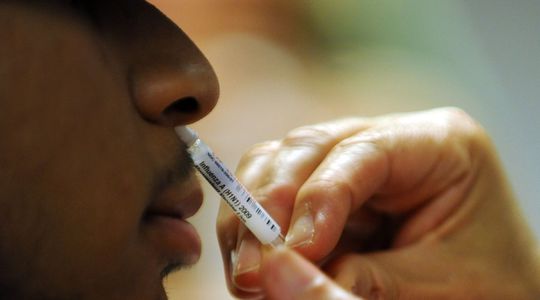 Vaccin nasal contre le Covid-19 : une nouvelle étude aux résultats prometteurs