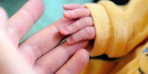 1000 premiers jours de bébé : ' L'Etat devrait interdire les substances toxiques'