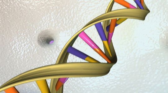 Décryptage complet du génome : 'Nous avons ajouté des pages au livre de la vie'