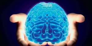 Maladie d'Alzheimer : 'Notre patrimoine génétique joue un rôle essentiel'