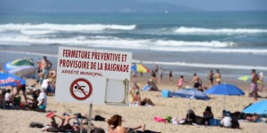 Alerte aux microalgues toxiques sur nos plages pour les prochains étés