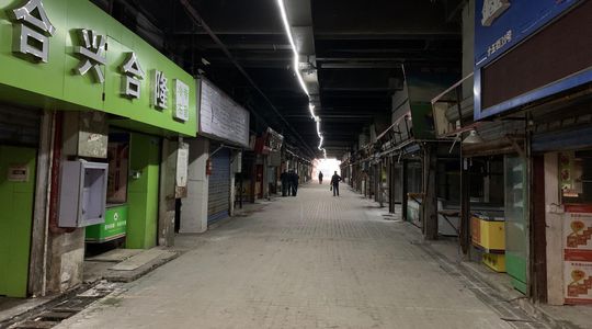 Aux origines du Covid, le marché de Wuhan ? Pourquoi ce n'est pas si simple