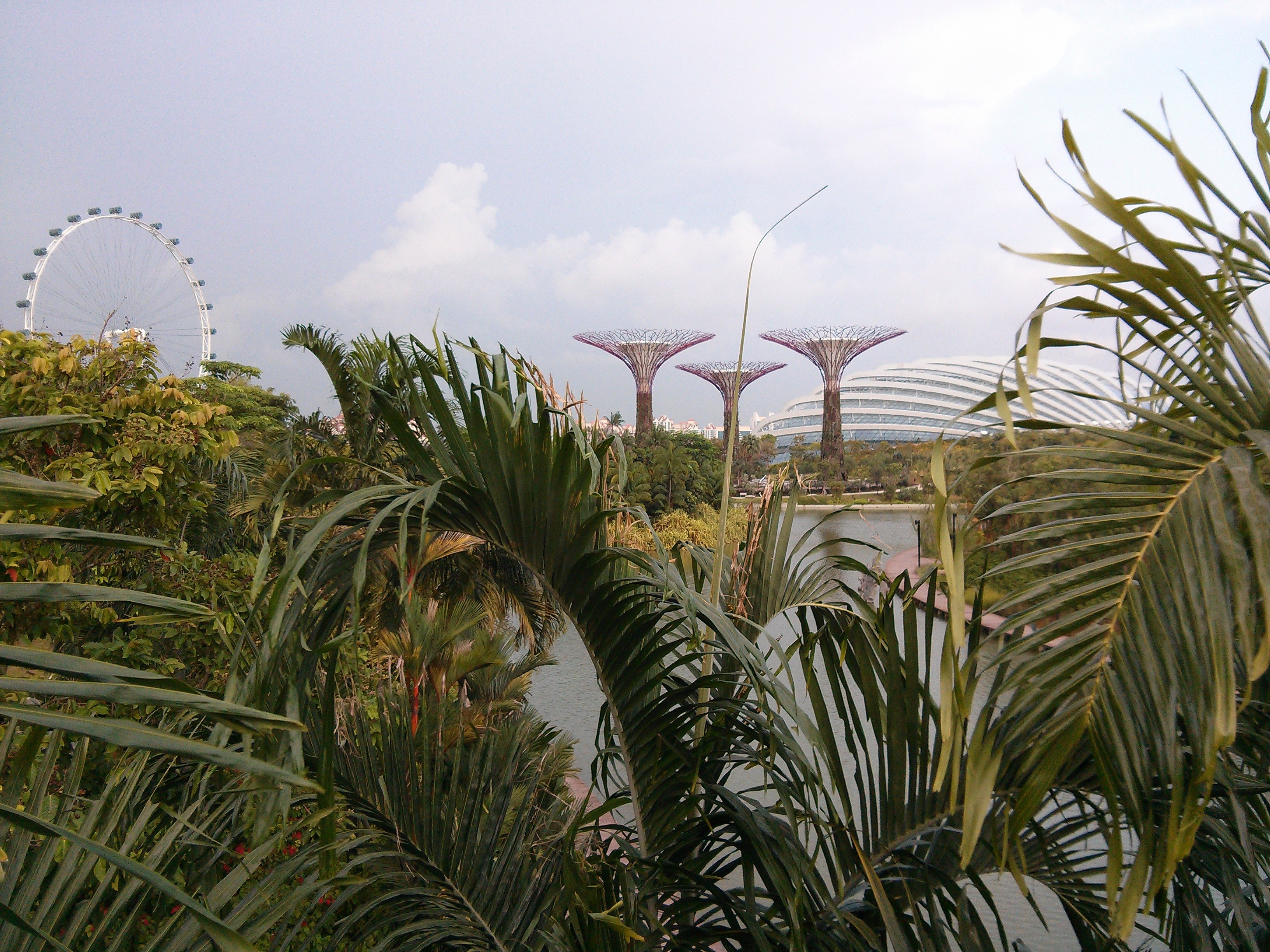 
    Singapour, ville verte et climatiseur géant  