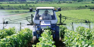 
    Les pesticides, « deux à mille fois plus toxiques » qu’annoncé, dit une étude  