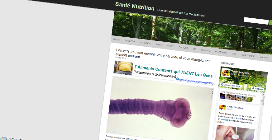 
    Conseils bidon, hoax écolos : arrêtez de partager du Sante-nutrition.org  