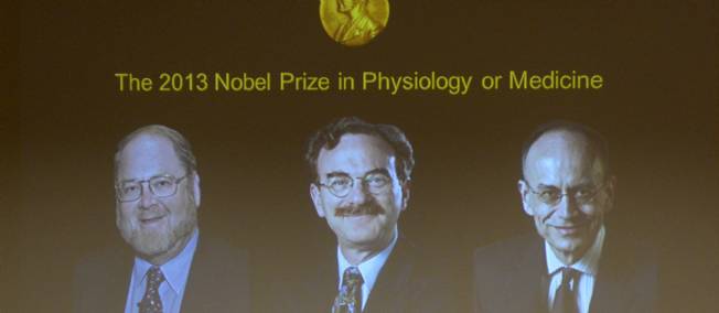Le Nobel de médecine à un duo américain et à un Allemand