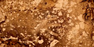 Les plus anciennes peintures rupestres au monde découvertes en Indonésie