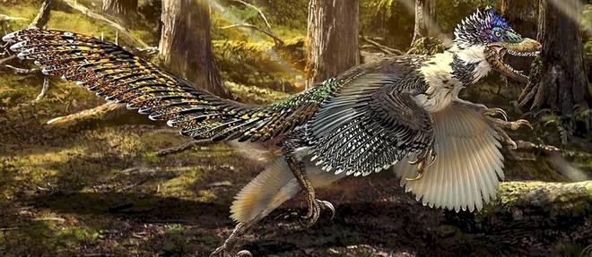Le dragon de Zhenyuan ou le plus grand dinosaure à plumes jamais découvert