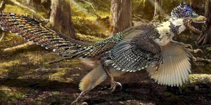 Le dragon de Zhenyuan ou le plus grand dinosaure à plumes jamais découvert