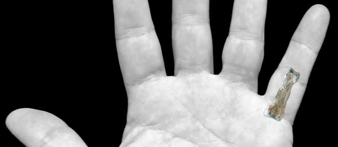 La plus ancienne main 'moderne' pourrait avoir 1,8 million d'années