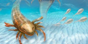 Un scorpion aquatique géant bien plus vieux que les dinosaures !