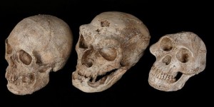L'homme de Néandertal explorait déjà des grottes il y a 176 500 ans