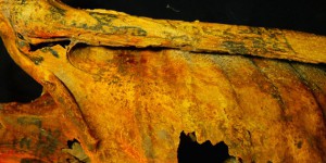 Incroyable découverte d'une momie de 3 300 ans couverte de tatouages