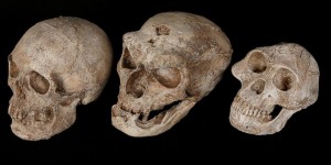 Le "documenteur" d'Arte, la leçon d'un canular sur le Néandertalien