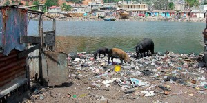 Le biomimétisme selon Idriss Aberkane #13 : les déchets