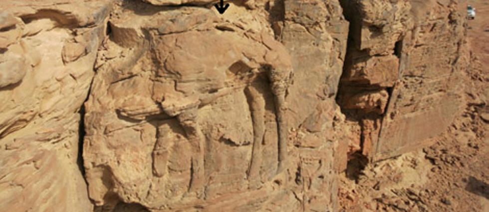 Archéologie : les mystères des chameaux du désert saoudien