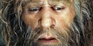 L'homme de Néandertal avait un gros nez pour mieux survivre au froid