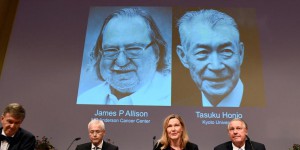 Le Nobel de médecine à l'Américain James P. Allison et au Japonais Tasuku Honjo