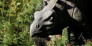 Écosse : en courant, une paléontologue butte sur un os de dinosaure