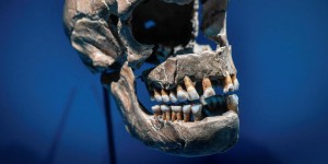 Haute-Garonne : découverte d'une dent humaine datant d'il y a 70 000 ans
