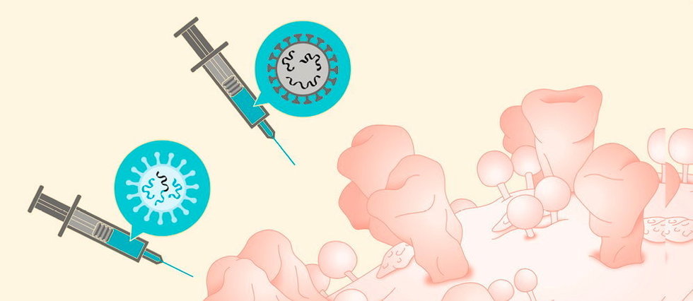 Vaccin anti-Sars-CoV-2 : où en sont vraiment les chercheurs