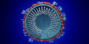 Coronavirus : sur les traces de l'origine du virus