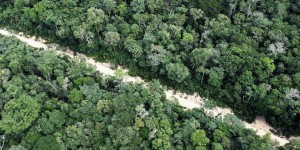 La forêt amazonienne brésilienne désormais émettrice nette de carbone
