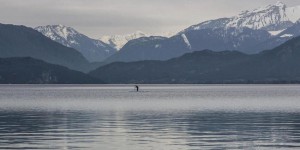 Climat : l’alarmant appauvrissement en oxygène des lacs des Alpes
