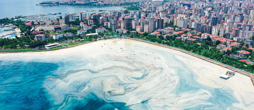 Écologie : la « morve de mer » menace Istanbul