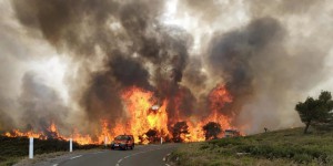 Deux cents hectares détruits après un incendie de forêt dans l’Aude