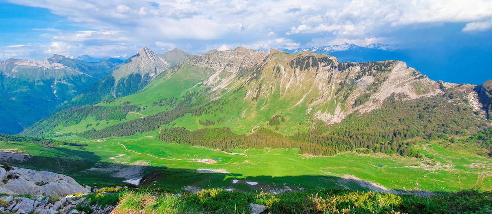 Biodiversité : les Alpes doublement meurtries