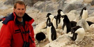 Biodiversité : « En Antarctique aussi, on approche du point de rupture »