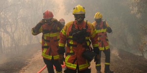 Incendie du Var : « On aurait pu l’éviter »