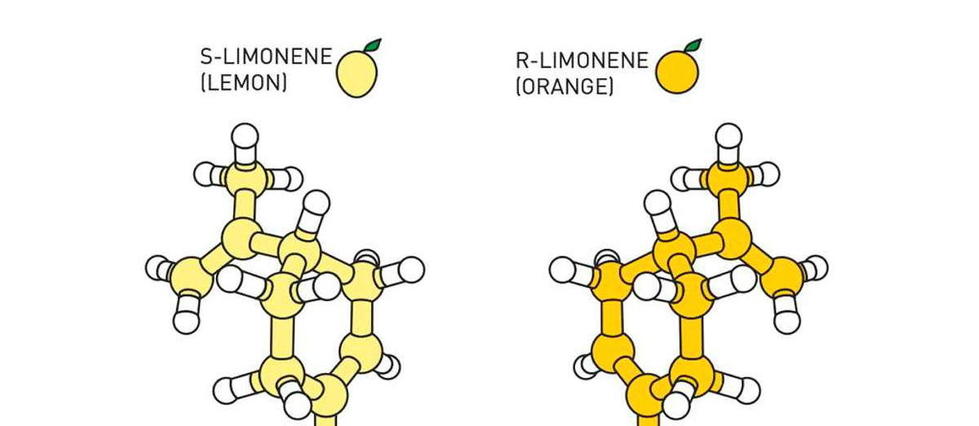 Prix Nobel de chimie : qu’est-ce que l’organocatalyse asymétrique ?