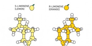Prix Nobel de chimie : qu’est-ce que l’organocatalyse asymétrique ?