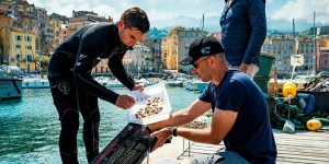 En Corse, un laboratoire qui redonne vie à nos joyaux marins