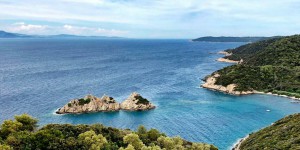 En Méditerranée, une nouvelle algue vient menacer les écosystèmes