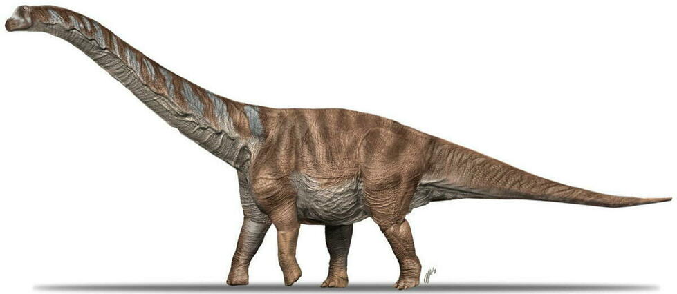 Une espèce de dinosaure gigantesque découverte dans les Pyrénées catalanes